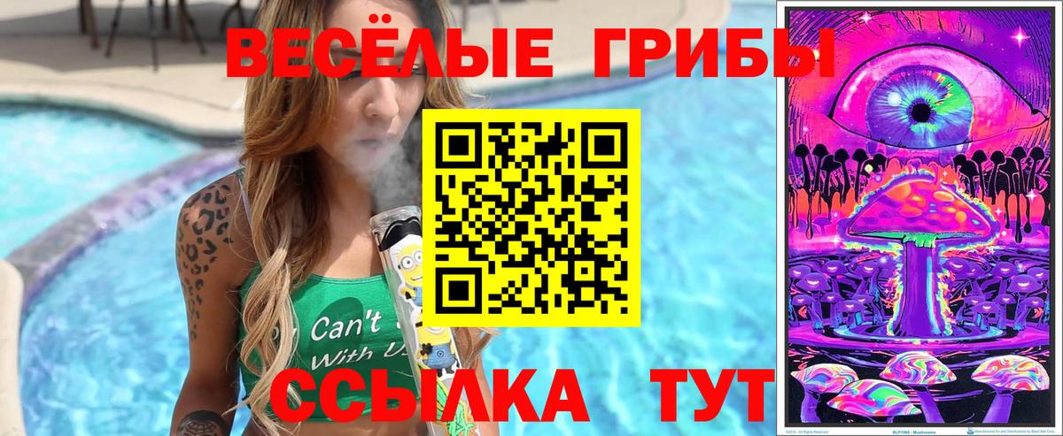Псилоцибиновые грибы GOLDEN TEACHER  Псилоцибиновые грибы Cubensis  Курган  Вход с VPN 