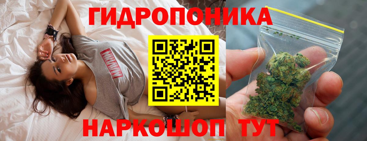 Шишки марихуана семена Курган